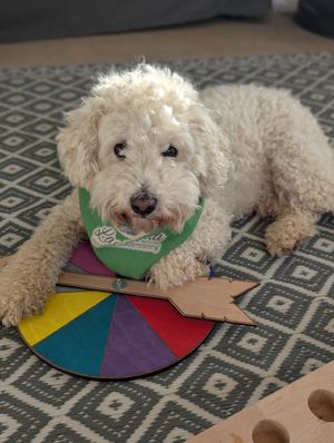 Online-Coaching TGI 17.12.2025