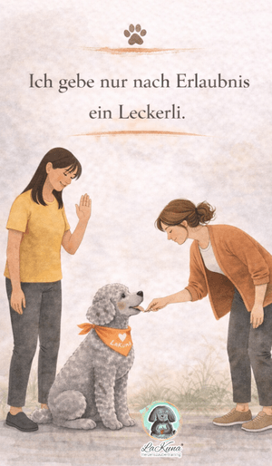 LaKuna Regelkarten für Erwachsene &amp; Jugendliche