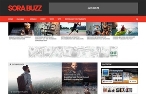 Sora Buzz Blogger Template Premium Version