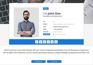 Sora CV Blogger Template Premium Version