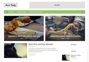 Sora Tasty Blogger Template Premium Version