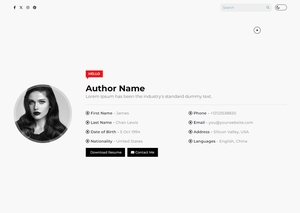 Magic CV Blogger Template Extended Version