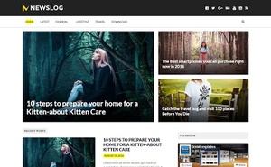 NewsLog Blogger Template Premium Version