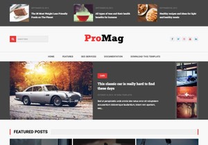 ProMag Blogger Template Premium Version