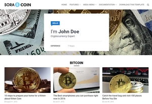 Sora Coin Blogger Template Extended Version