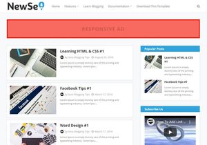New SEO Blogger Template Premium Version