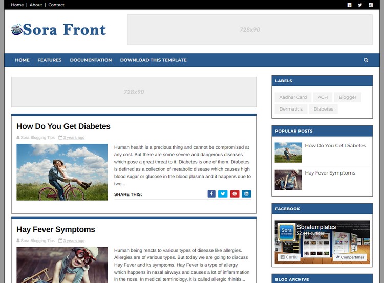 Sora Front Blogger Template Extended Version