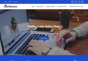 Affiliation Blogger Template Premium Version