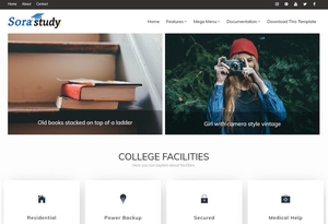 Sora Study Blogger Template Premium Version