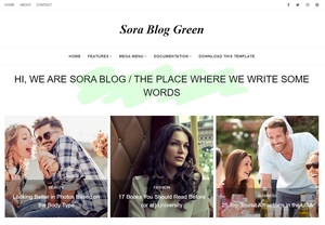 Sora Blog Green Extended Version