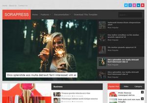 Sora Press Blogger Template Premium Version