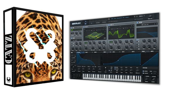 Big Catz for Xfer Serum