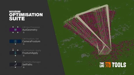 LMI Houdini Optimisation Suite