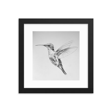 Hummingbird Rising Print