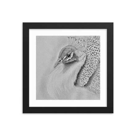 Peacock Print