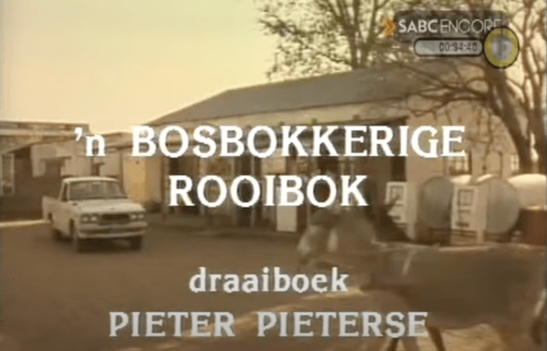 Bosveld winkel