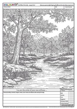 ColourRise FREE to Try #2