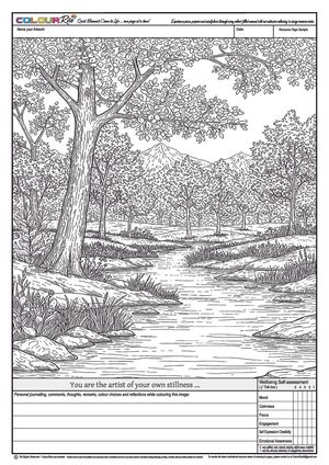 ColourRise FREE to Try #2