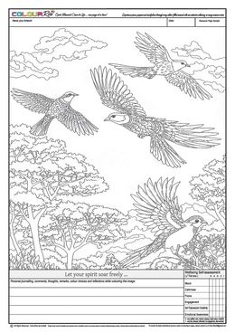 ColourRise FREE to Try #3