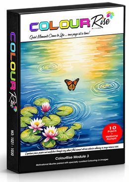 10 Week Program #3: 1021 - 1030 + BONUS Wellbeing Reflection Sheets + pre-coloured palm cards