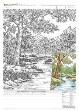 FREE download to try, click on image: ColourRise #2 - “You are the artist of your own stillness”