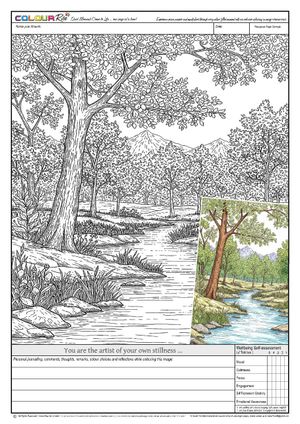 FREE download to try, click on image: ColourRise #2 - “You are the artist of your own stillness”