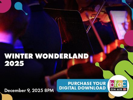 Winter Wonderland 2025 8PM