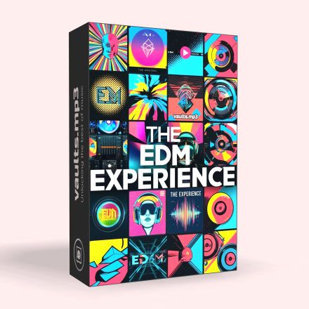 The EDM Experience 🎧💥