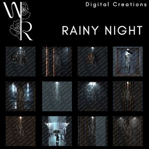 RAINY NIGHT