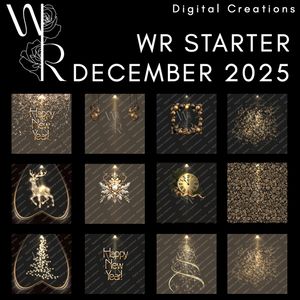 WR STARTER DECEMBER 2025