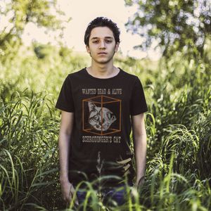 Wanted dead and alive: Schrödinger's cat