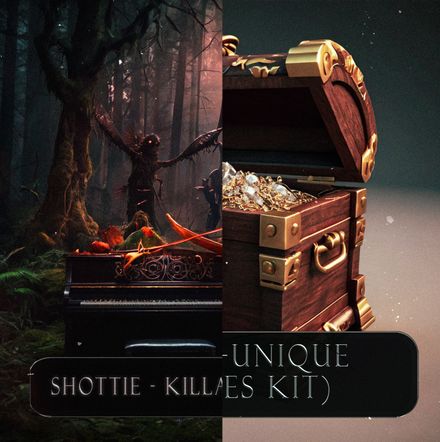 Shottie - Unique &amp; Killa (Phrase Kits)