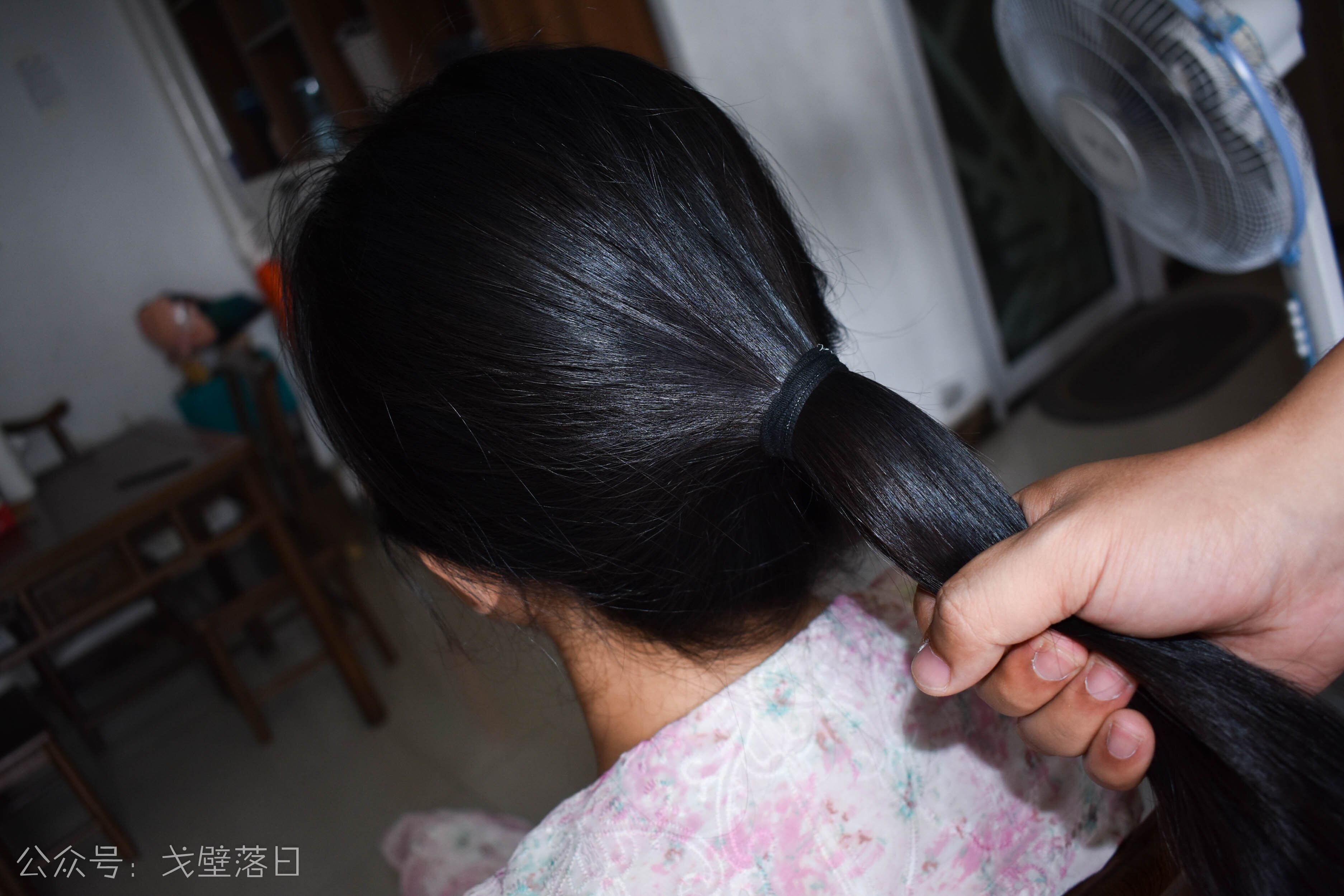 Long Hair Display 059#