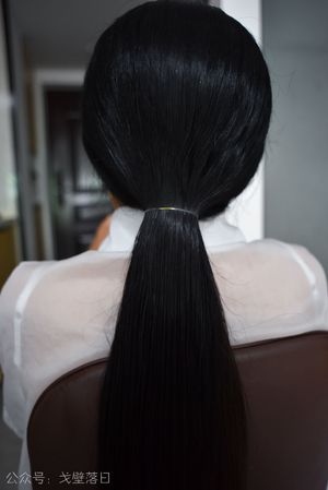 Long Hair Display 056#