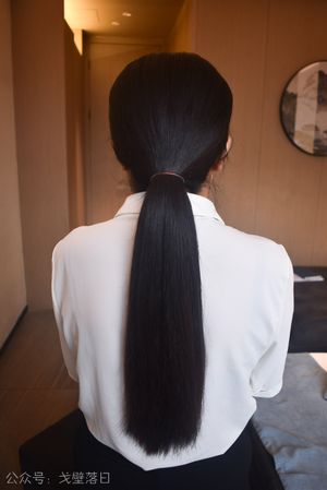 Long Hair Display 046#