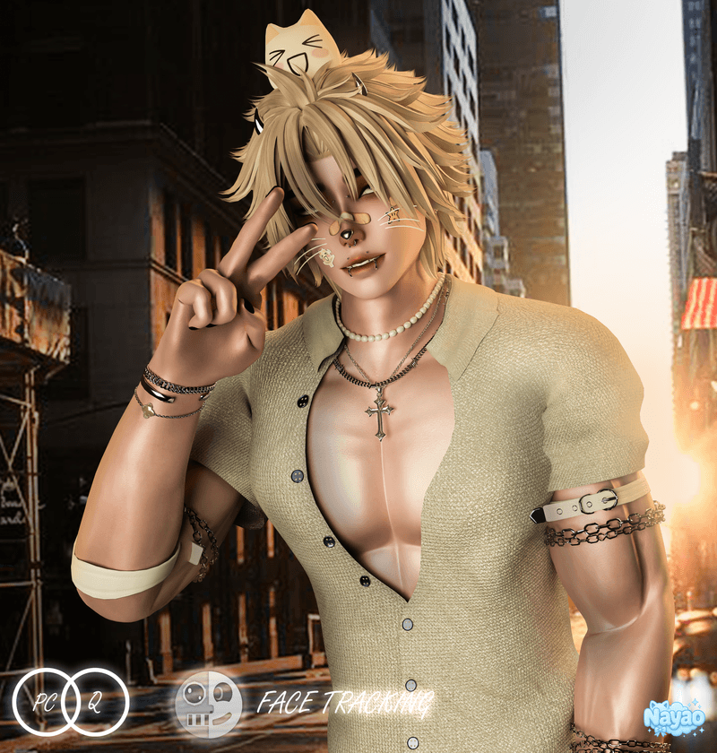 Toru ( PC , VRCFT , QUEST )