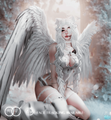 Nivarae ( PC , VRCFT , QUEST )