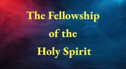 The Fellowship of the Holy Spirit &#x27;Conference&#x27; (Five audio messages)