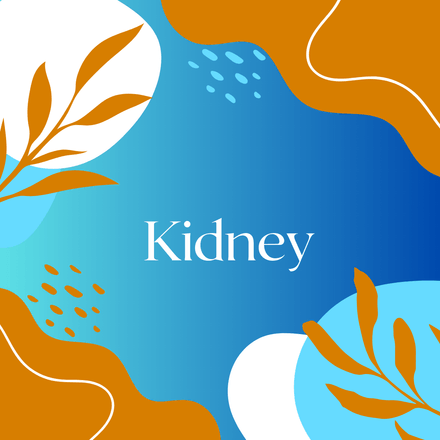 Kidney