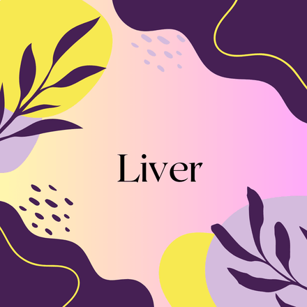 Liver