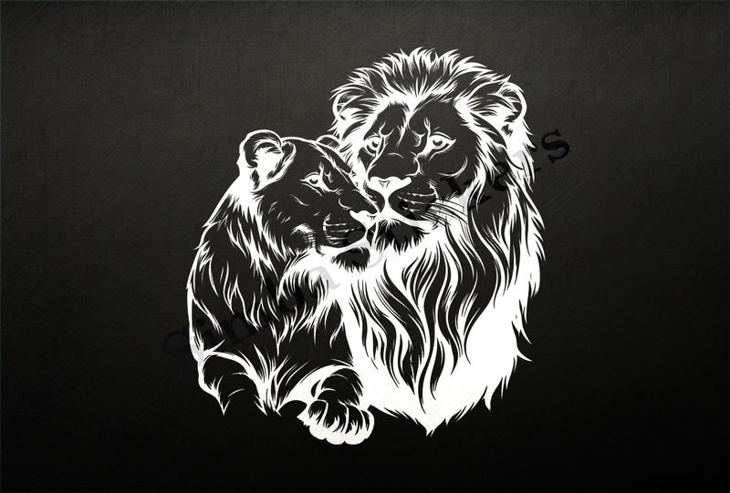 Affectionate lioness leaning into lion, cuddling, outline art