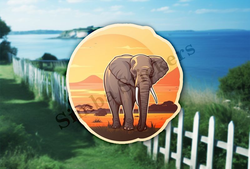 African elephant at sunrise