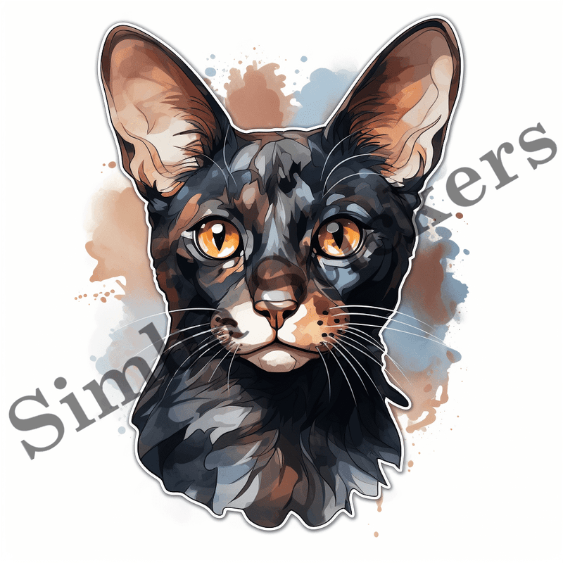 Oriental Shorthair cats, image set, 10 images