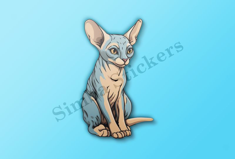 Sphynx cat sitting