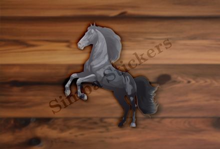 Black horse rearing