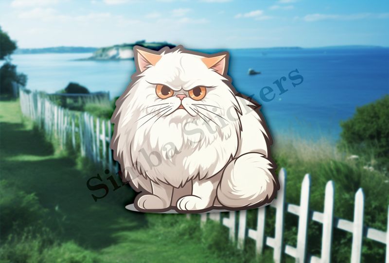 White Persian cat sitting