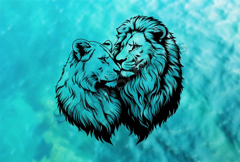 Majestic lion with lioness cuddling nose-to-nose ,  outline art