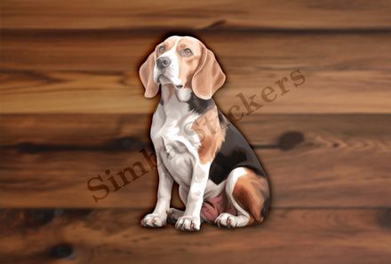 Beagle dog seated