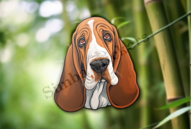 Basset Hound dog