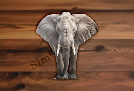 Elephant in the Savanna from the front 